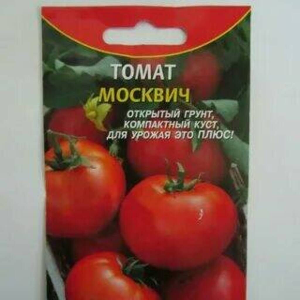 Томат москвич урожайность