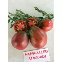 Томат Сорт Мармеладный Фото